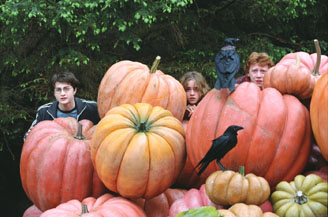 The Great Pumpkin is really freakin' scary.